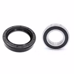 Swingarm bearing for Honda FOURTRAX PPS03321 Parts for the swing arm as a spare part set in OEM quality for your vehicle