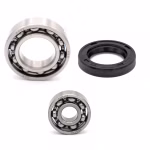 Differential axle drive ball bearing set for Yamaha YF60 PPS03363 Ball bearings for the differential gear in OEM quality for your vehicle