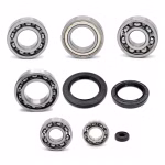 Differential Achsgetriebe Kugellagersatz kompatibel mit Yamaha YFM350FW YFM350FW-BIG-BEAR-350 PPS03365 Differential Achsgetriebe Kugellagersatz ersetzen Defektes mit hochwertigen Ersatzteilen ✓ Unsere Teile sind robust und langlebig ✓ Hier erwerben!
