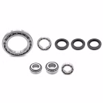 Differential Achsgetriebe Kugellagersatz kompatibel mit Suzuki KINGQUAD OZARK QUADMASTER VINSON PPS03383 Differential Achsgetriebe Kugellagersatz ersetzen Defektes mit hochwertigen Ersatzteilen ✓ Unsere Teile sind robust und langlebig ✓ Hier erwerben!