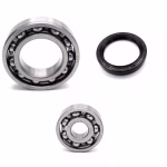 Getriebelager kompatibel mit Rieju CITYLINE IE 125 300 BLACK CITYLINE IE 125 300 RED PPS03385 die Kugellager und Wellendichtringe in Erstausrüsterqualität eignen sich für die Wartung deines Fahrzeuges