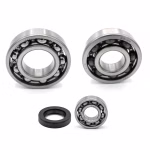 the ball bearings and oil seals in OEM quality are suitable for the maintenance of your vehicle