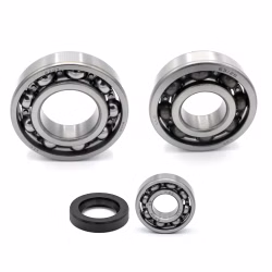 Crankshaft bearing for Crankshaft bearings for Suzuki KINGQUAD OZARK QUADSPORT PPS03391 the ball bearings and oil seals in OEM quality are suitable for the maintenance of your vehicle