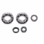 Crankshaft bearing for Crankshaft bearings for Suzuki EIGER KINGQUAD PPS03392 the ball bearings and oil seals in OEM quality are suitable for the maintenance of your vehicle