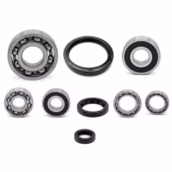 Engine case bearings and seals for Kawasaki KSF250 Mojave 250 PPS03448 the ball bearings and oil seals in OEM quality are suitable for the maintenance of your vehicle