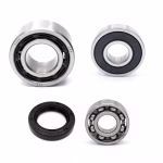 Motorgehäuse Lager und Dichtungen kompatibel mit CFMoto CF400ATR-2L CF400ATR-2L-1 PPS03512 Motorlager Set online kaufen auf partsandparts.de ✓ gute Bewertungen ✓ niedrige Preise ✓ Expressversand
