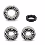 Getriebelager kompatibel mit TGB 104T CAPPUCCIO 4T OCTANE PPS03513 Getriebelager mit Wellendichtringen online kaufen ✓ Große Auswahl ✓ Günstige Preise ✓ Blitzversand