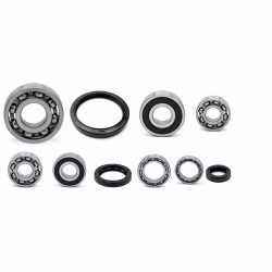 Motorgehäuse Lager und Dichtungen kompatibel mit Kawasaki KFX250 PPS03595 Motorlager Set online kaufen auf partsandparts.de ✓ gute Bewertungen ✓ niedrige Preise ✓ Expressversand
