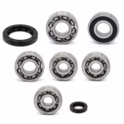 Getriebelager kompatibel mit Beeline MEMORY PPS03601 Getriebelager mit Wellendichtringen online kaufen ✓ Große Auswahl ✓ Günstige Preise ✓ Blitzversand