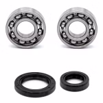 Crankshaft bearing compatible with Beeline MEMORY MEMORY MOD PISTA PISTA LC TAPO PPS03603 Buy crankshaft bearings online at partsandparts.com ✓ Large selection ✓ Cheap prices ✓ Express shipping