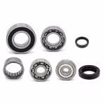 Getriebelager kompatibel mit Triton ROUGH KID PPS03618 Getriebelager mit Wellendichtringen online kaufen ✓ Große Auswahl ✓ Günstige Preise ✓ Blitzversand