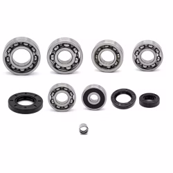 Getriebelager kompatibel mit Triton BAJA BAJA CROSSER BAJA EFI LOF BAJA SUPERMOTO PPS03624 Getriebelager mit Wellendichtringen online kaufen ✓ Große Auswahl ✓ Günstige Preise ✓ Blitzversand