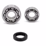 Getriebelager kompatibel mit Triton BLACK LIZARD REACTOR CROSSER REACTOR ENDURO PPS03627 Getriebelager mit Wellendichtringen online kaufen ✓ Große Auswahl ✓ Günstige Preise ✓ Blitzversand