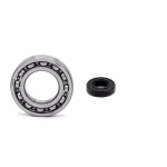 Shift drum bearing compatible with Triton BLACK LIZARD REACTOR CROSSER PPS03630 Buy ball bearings for the gearshift drum online ✓ Large selection ✓ Express shipping ✓ Good prices