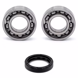 Crankshaft bearing compatible with Access AMS 4.3 SM AMS 4.3 SX AMS 4.3 Supermoto EFI PPS03634 Buy crankshaft bearings online at partsandparts.com ✓ Large selection ✓ Cheap prices ✓ Express shipping
