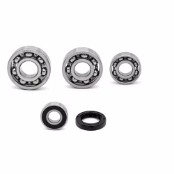 Getriebelager kompatibel mit Access AMS 4.38 SM XTREME PPS03638 Getriebelager mit Wellendichtringen online kaufen ✓ Große Auswahl ✓ Günstige Preise ✓ Blitzversand