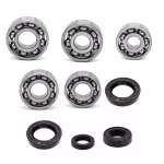 Motor housing bearings and seals compatible with Access SHADE PPS03646 Buy engine mount set online at partsandparts.com ✓ good reviews ✓ low prices ✓ express shipping
