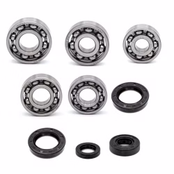 Motor housing bearings and seals compatible with Access SHADE PPS03646 Buy engine mount set online at partsandparts.com ✓ good reviews ✓ low prices ✓ express shipping