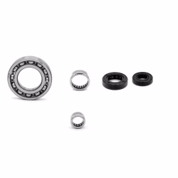 Shift Mechanimus Ball Bearing Compatible with Access AMS 4.38 SM XTREME PPS03652 Buy ball bearings for the switching mechanism online ✓ Wide selection ✓ Express shipping ✓ Good prices