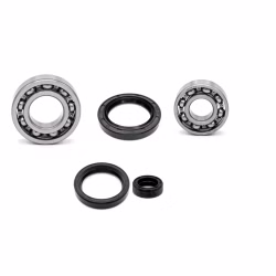 Motorgehäuse Lager und Dichtungen kompatibel mit Gilera GP PPS03743 Motorlager Set online kaufen auf partsandparts.de ✓ gute Bewertungen ✓ niedrige Preise ✓ Expressversand
