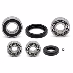 Getriebelager kompatibel mit Adly silver fox 4 stroke PPS03753 Getriebelager mit Wellendichtringen online kaufen ✓ Große Auswahl ✓ Günstige Preise ✓ Blitzversand