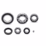 Motorgehäuse Lager und Dichtungen kompatibel mit TGB BLADE TARGET PPS03771 Motorlager Set online kaufen auf partsandparts.de ✓ gute Bewertungen ✓ niedrige Preise ✓ Expressversand