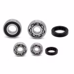 Getriebelager kompatibel mit Italjet Formula Velocifero PPS03817 Getriebelager mit Wellendichtringen online kaufen ✓ Große Auswahl ✓ Günstige Preise ✓ Blitzversand