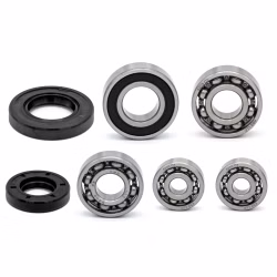 Getriebelager kompatibel mit Kreidler Florett 2.0 RS DD Galactica 2.0 RC 50 DD PPS03831 Getriebelager mit Wellendichtringen online kaufen ✓ Große Auswahl ✓ Günstige Preise ✓ Blitzversand
