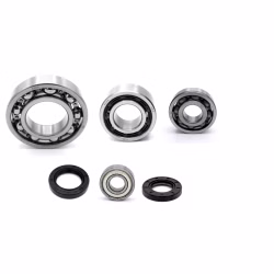 Motorgehäuse Lager und Dichtungen kompatibel mit CFMoto CF500-2-1 CF500-2-2 CF500-3 PPS03841 Motorlager Set online kaufen auf partsandparts.de ✓ gute Bewertungen ✓ niedrige Preise ✓ Expressversand