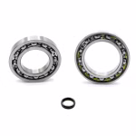 Shift mechanimus ball bearing compatible with Moto Guzzi SPORT-FORMULA PPS03873 Buy ball bearings for the switching mechanism online ✓ Wide selection ✓ Express shipping ✓ Good prices