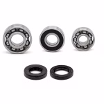 Motor housing bearings and seals compatible with Kawasaki KFX50 PPS03877 Buy engine mount set online at partsandparts.com ✓ good reviews ✓ low prices ✓ express shipping