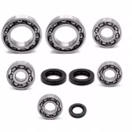 Gearbox bearing compatible with Kreidler F-Kart 170 PPS03920 Buy gearbox bearings with oil seals online ✓ Large selection ✓ Low prices ✓ Fast shipping