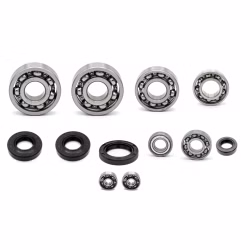 Motorgehäuse Lager und Dichtungen kompatibel mit Kawasaki KX100 KX80 KX85 - KX85 II PPS03924 Motorlager Set online kaufen auf partsandparts.de ✓ gute Bewertungen ✓ niedrige Preise ✓ Expressversand