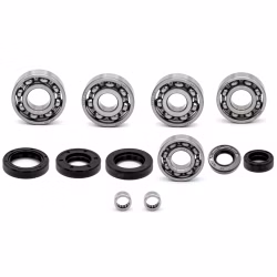 Motorgehäuse Lager und Dichtungen kompatibel mit KSR-Moto TR SM 50 E4 TR X 50 E4 PPS03960 Motorlager Set online kaufen auf partsandparts.de ✓ gute Bewertungen ✓ niedrige Preise ✓ Expressversand