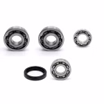 Getriebelager kompatibel mit Suzuki DR PPS03996 Getriebelager mit Wellendichtringen online kaufen ✓ Große Auswahl ✓ Günstige Preise ✓ Blitzversand