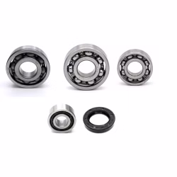 Getriebelager kompatibel mit Suzuki DR PPS03997 Getriebelager mit Wellendichtringen online kaufen ✓ Große Auswahl ✓ Günstige Preise ✓ Blitzversand