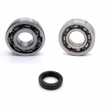 Elektrostarter Lagerung ✓ Erlebe optimale Wartung ✓ hochwertiger Lagersatz von partsandparts.de ✓ 24/7 erreichbar ✓ gute Verfügbarkeit
