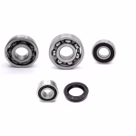 Getriebelager kompatibel mit Suzuki DR DR-Z PPS04008 Getriebelager mit Wellendichtringen online kaufen ✓ Große Auswahl ✓ Günstige Preise ✓ Blitzversand