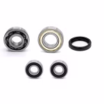 Gearbox bearing compatible with Suzuki TS-ER PPS04012 Buy gearbox bearings with oil seals online ✓ Large selection ✓ Low prices ✓ Fast shipping