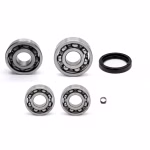 Getriebelager kompatibel mit Suzuki TS-X PPS04013 Getriebelager mit Wellendichtringen online kaufen ✓ Große Auswahl ✓ Günstige Preise ✓ Blitzversand