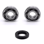 Kurbelwellenlager kompatibel mit Honda CR PPS04019 Kurbelwellenlager online kaufen auf partsandparts.de ✓ Große Auswahl ✓ Günstige Preise ✓ Expressversand