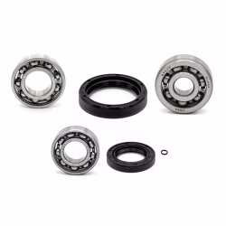 Clutch bearing compatible with Mash SIXTY FIVE 125 (4T) PPS04046 Buy clutch bearings online at partsandparts.com ✓ Large selection ✓ Cheap prices ✓ Express shipping