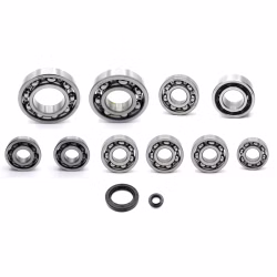 Motorgehäuse Lager und Dichtungen kompatibel mit Arctic Cat 700 HDX XT BLACK PPS04066 Motorlager Set online kaufen auf partsandparts.de ✓ gute Bewertungen ✓ niedrige Preise ✓ Expressversand