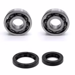 Crankshaft bearing compatible with GasGas EC 125 PPS04086 Buy crankshaft bearings online at partsandparts.com ✓ Large selection ✓ Cheap prices ✓ Express shipping