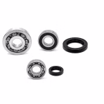 Getriebelager kompatibel mit Derbi ATLANTIS BOULEVARD PPS04123 Getriebelager mit Wellendichtringen online kaufen ✓ Große Auswahl ✓ Günstige Preise ✓ Blitzversand