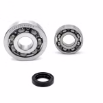 Motorgehäuse Lager und Dichtungen kompatibel mit Vespa PRIMAVERA S SPRINT PPS04125 Motorlager Set online kaufen auf partsandparts.de ✓ gute Bewertungen ✓ niedrige Preise ✓ Expressversand
