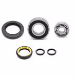 Motorgehäuse Lager und Dichtungen kompatibel mit Honda FORSIGHT PS250 BIG RUCKUS PPS04141 Motorlager Set online kaufen auf partsandparts.de ✓ gute Bewertungen ✓ niedrige Preise ✓ Expressversand