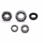 Gearbox bearing compatible with Suzuki QUADRUNNER PPS04153 Buy gearbox bearings with oil seals online ✓ Large selection ✓ Low prices ✓ Fast shipping