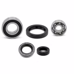 Motorgehäuse Lager und Dichtungen kompatibel mit Daelim E-Five 45 S-Five S-Five PPS04163 Motorlager Set online kaufen auf partsandparts.de ✓ gute Bewertungen ✓ niedrige Preise ✓ Expressversand