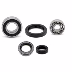 Motorgehäuse Lager und Dichtungen kompatibel mit Daelim E-Five 45 S-Five S-Five PPS04163 Motorlager Set online kaufen auf partsandparts.de ✓ gute Bewertungen ✓ niedrige Preise ✓ Expressversand